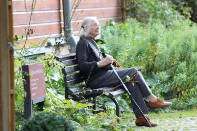 Molecular cause of age-related cognitive decline identified