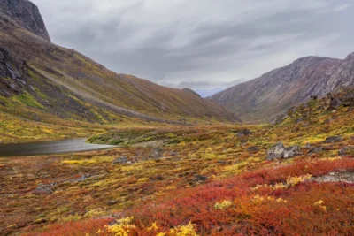 Greenland’s Thawing Ancient Garbage Heaps Are Releasing a 4,500-Year Bacterial Record