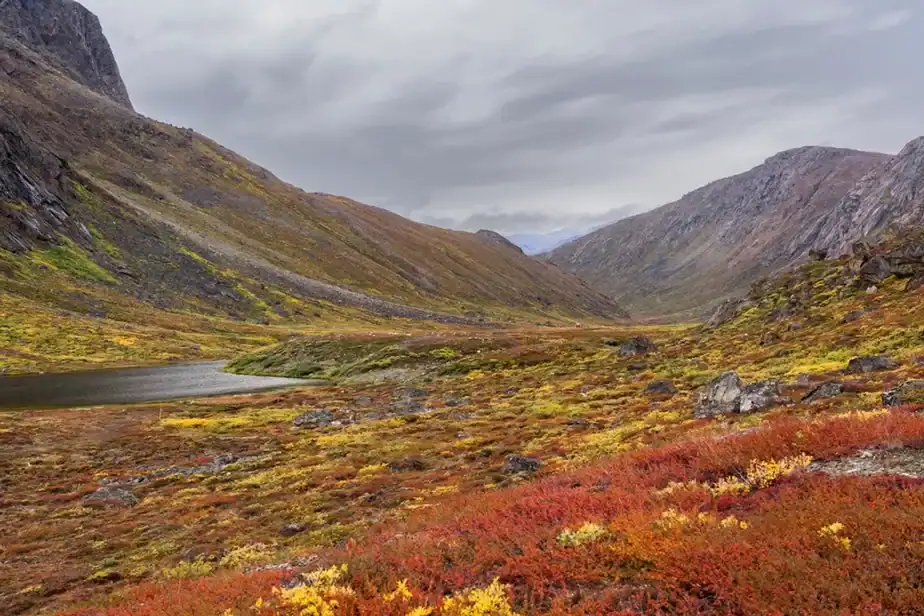 Greenland’s Thawing Ancient Garbage Heaps Are Releasing a 4,500-Year Bacterial Record