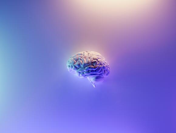 How Reading Fiction Changes Your Brain – Backed by Science
