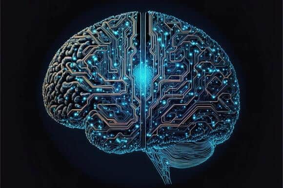What Your Brain Does in the Final 11 Minutes of Consciousness – Neuroscience Has an Answer and It’s Not What Anyone Expected