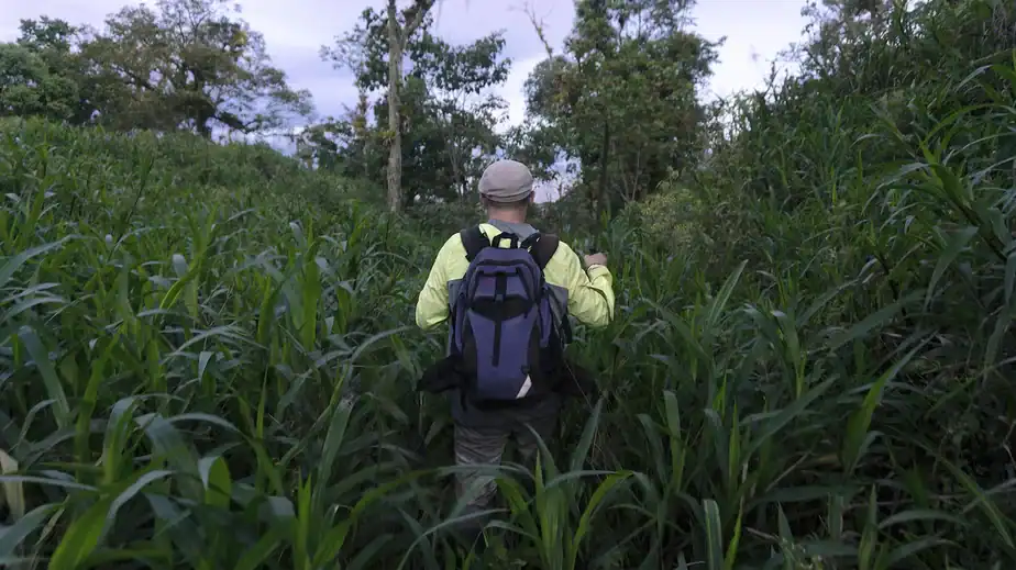 The Amazon’s ‘lost city’ has been widely misunderstood. This is its true story