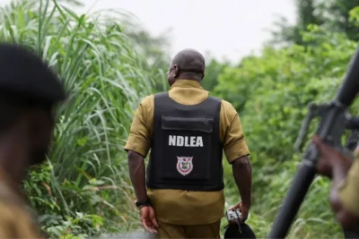 Nigeria drug trade: How Mexican cartels have outsourced meth labs