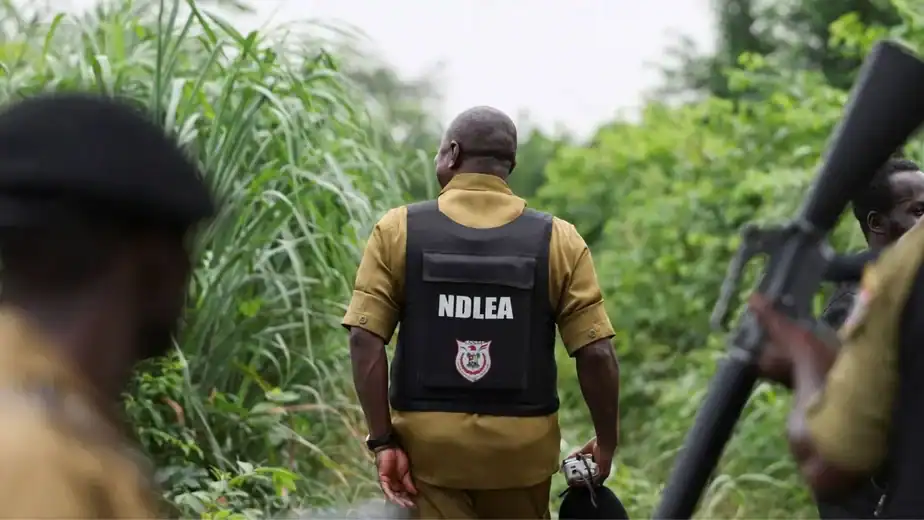 Nigeria drug trade: How Mexican cartels have outsourced meth labs