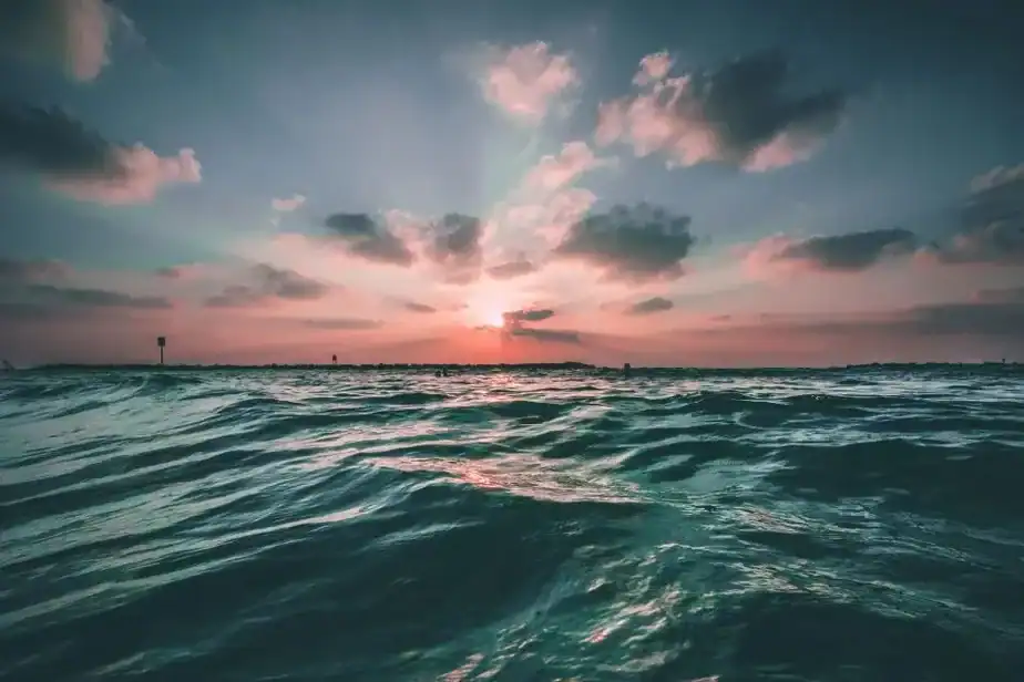Neuroscience Says Standing at the Edge of the Ocean Activates Multiple Restorative Brain Processes Simultaneously That Cannot Run in Any Other Single Environment – and the Feeling People Describe as Peace Is Not a Mood It Is a Measurable State