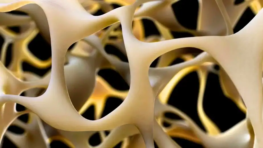 Breakthrough to Make Bones Stronger Could Reverse Osteoporosis