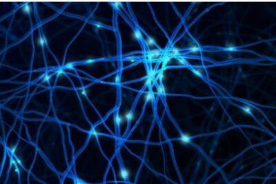 Scientists find a new way to clear toxic Alzheimers tangles – NewsBreak