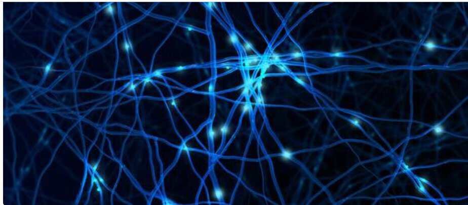 Scientists find a new way to clear toxic Alzheimers tangles – NewsBreak