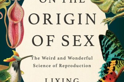 book summary