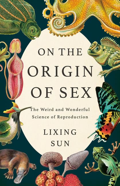 book summary
