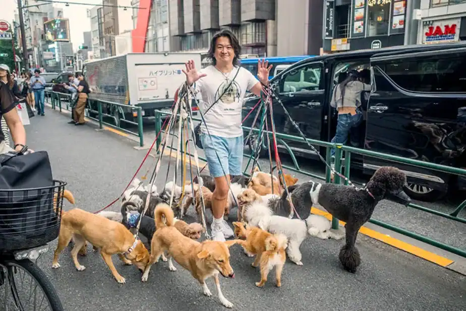 I Took 30 Photos That Show Why Japan Is A Dream Destination For Street Photographers