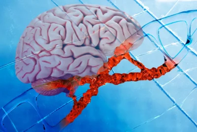 New Alzheimer’s drug repairs DNA damage and reduces brain inflammation