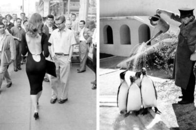 25 Images That Prove Life Was Better In The 1950s