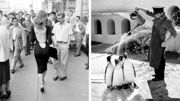 25 Images That Prove Life Was Better In The 1950s