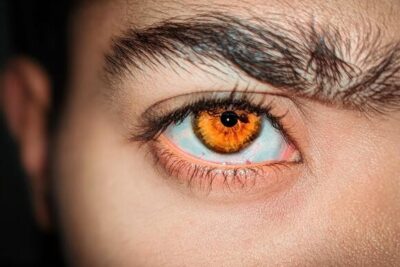 Eyes repair themselves by turning old cells back into stem cells