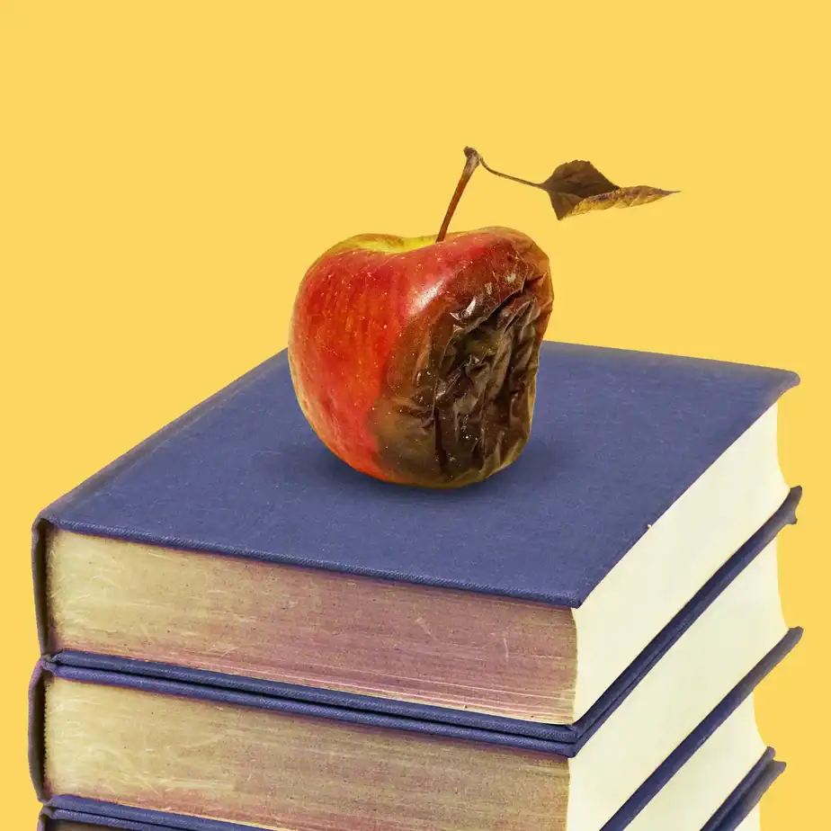 Opinion | A Top Scholar’s Fall Shows That Universities Don’t Get It