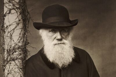 Darwin, Dinosaurs, and the Crisis of Belief