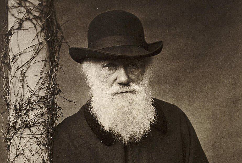 Darwin, Dinosaurs, and the Crisis of Belief