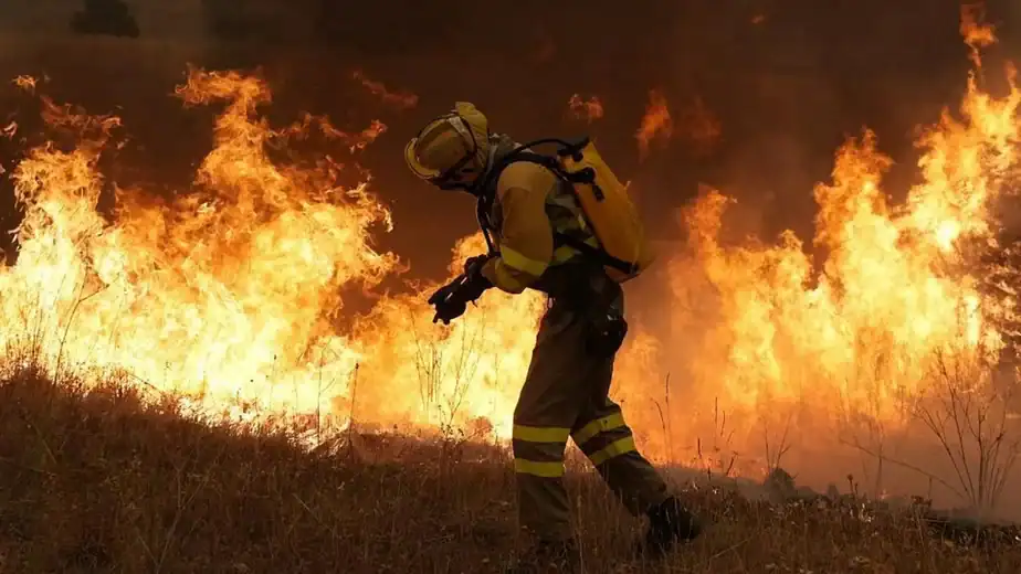 How Australia combines modern tech and Indigenous knowledge to fight fire