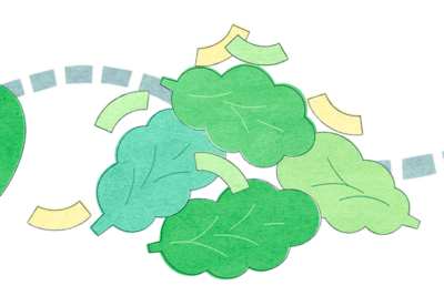 How Does Bagged Lettuce Get Contaminated With Cyclospora Anyway?