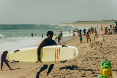 How Cape Cod Became a Destination for Shark Tourism