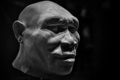 8 Astounding Facts About Early Human Migration That Shaped Our World – Dino World