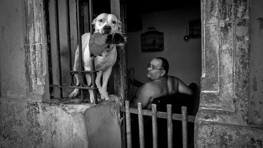 Most photographers visiting Cuba’s capital focus on the Chevys and cigars. David Saxe took a very different approach: going after the blur, the shadows and the things nobody poses for