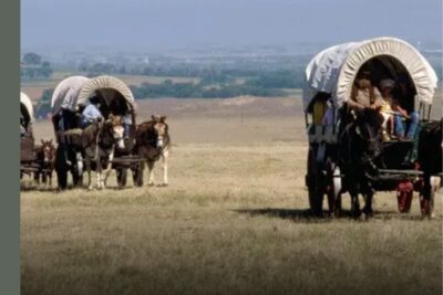 This One Disease Killed More Pioneers Than Any Other