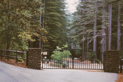 Bohemian Grove: The Secret Society Summer Camp