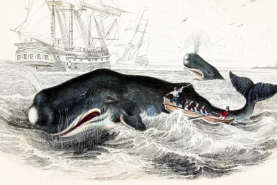 Moby Dick: The 19th-Century novel that challenged our fear of the ‘monstrous’ whale