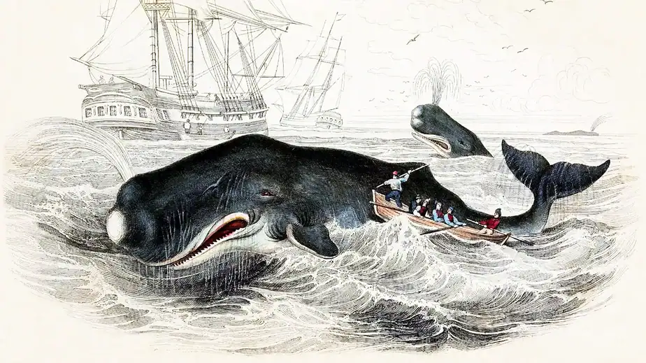 Moby Dick: The 19th-Century novel that challenged our fear of the ‘monstrous’ whale