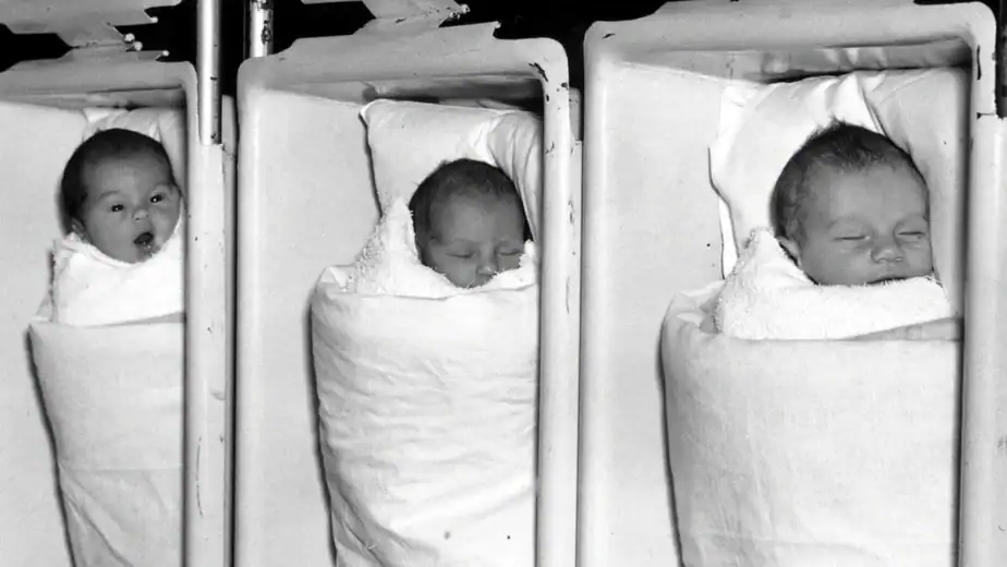 These Babies Grew Up With Strict Sugar Limits. Decades Later, The Results Are Dramatic.