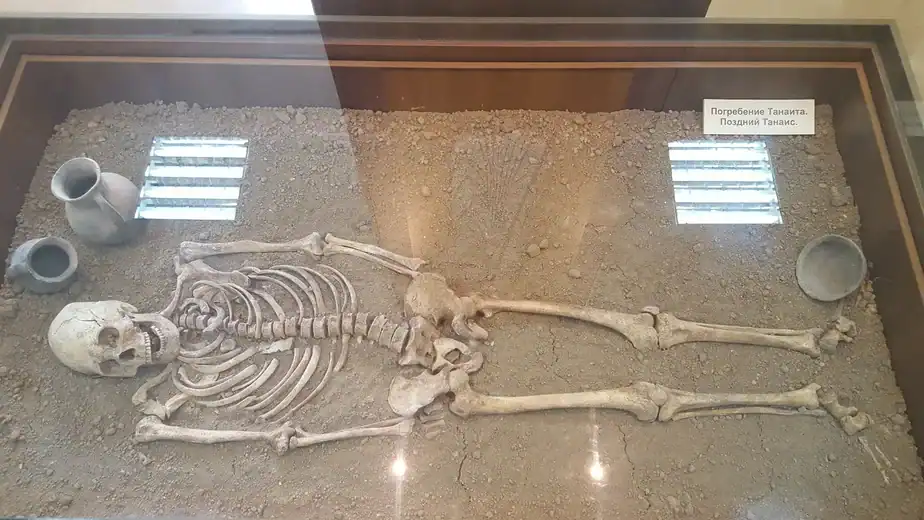 The Strange Moment Humans Became Aware of Death According to Anthropologists