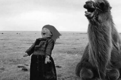 33 Hilarious Examples Of Perfect Timing Creating Unexpected And Chaotic Photos, As Shared By This Page