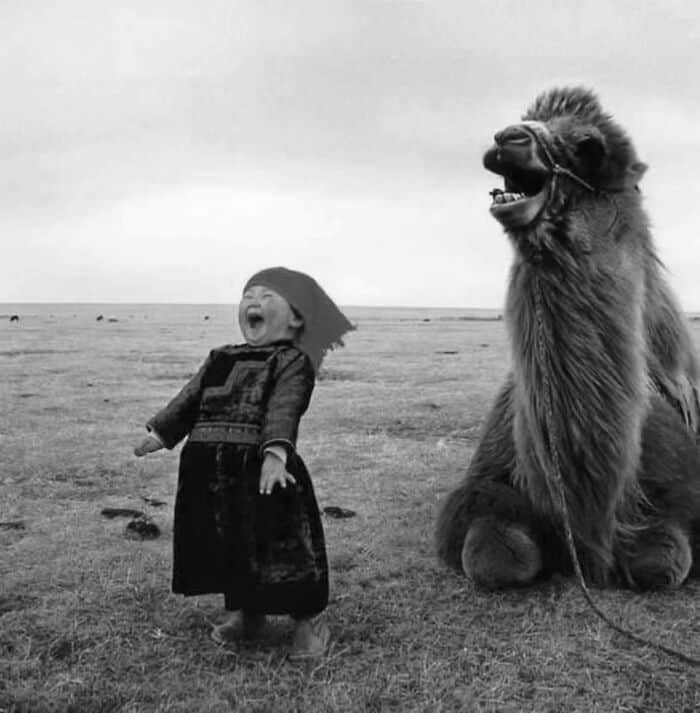 33 Hilarious Examples Of Perfect Timing Creating Unexpected And Chaotic Photos, As Shared By This Page