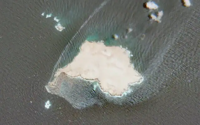 Plant Material Can Be Used for Oil Spills