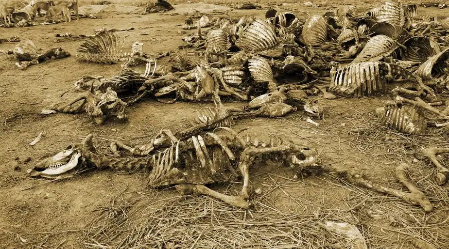 It wiped out 90% of life on Earth, turned the oceans into graveyards – and it very nearly ended life on our planet entirely | Discover Wildlife