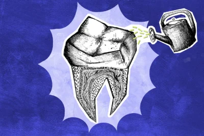 Scientists are regrowing human teeth
